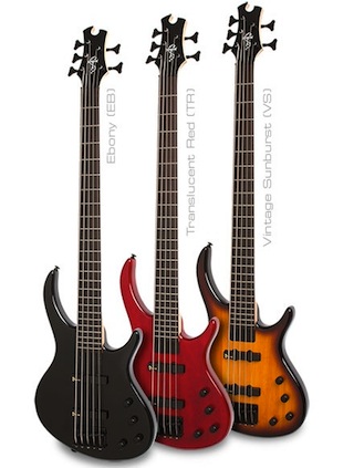 Epiphone Toby V