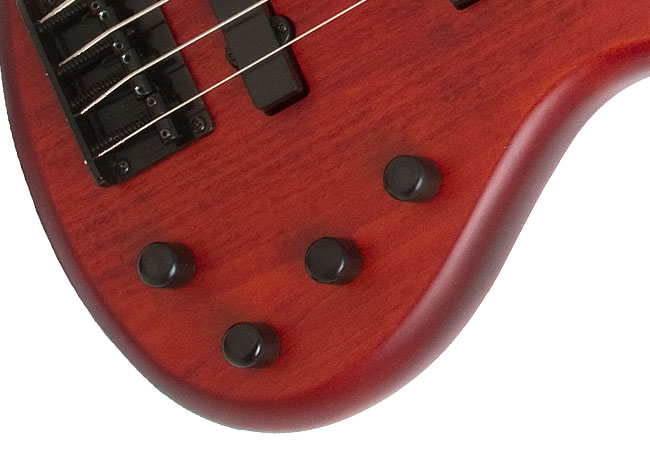 Spotlight on Epiphone Basses