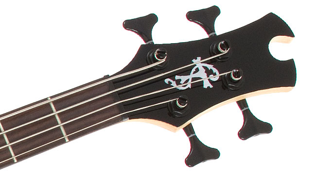 Spotlight on Epiphone Basses