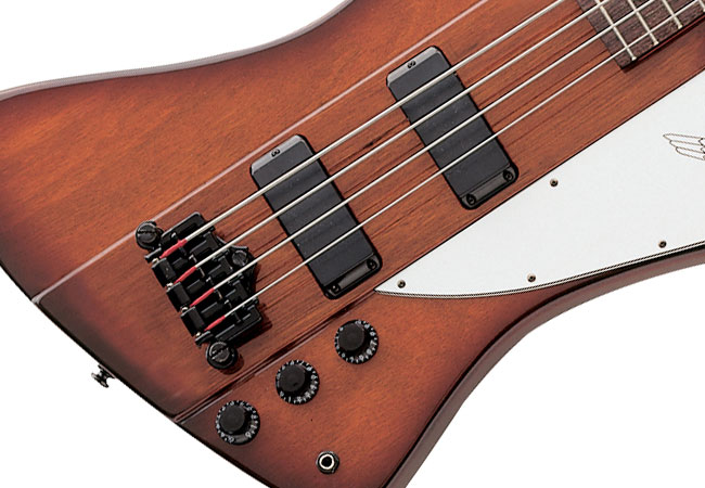 Spotlight on Epiphone Basses