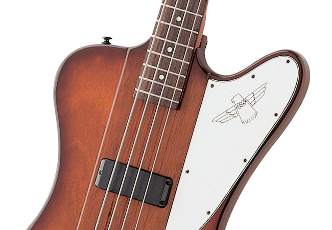 Spotlight on Epiphone Basses