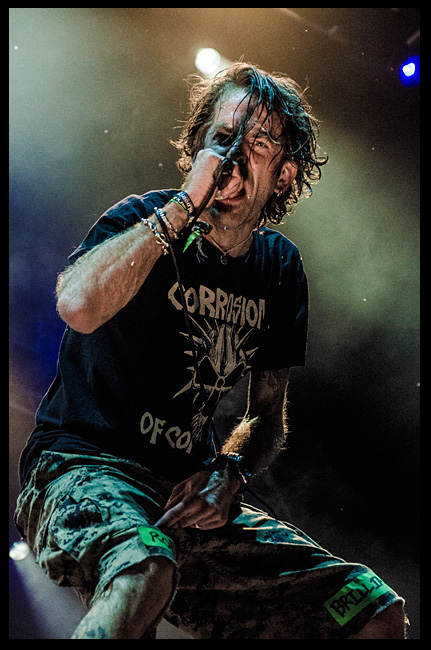 My Bloodstock Experience