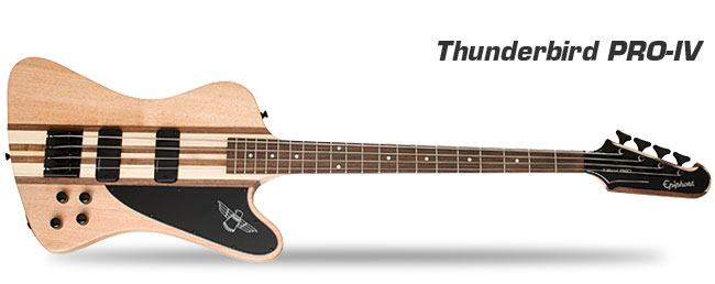 Discover Epiphone Basses