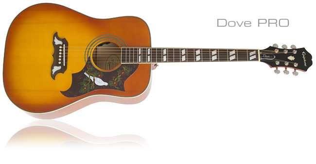 Going PRO with Epiphone Acoustic/Electric Guitars