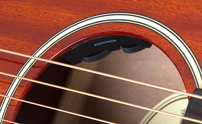 Epiphone Ltd. Ed. EL-00 PRO Mahogany and Ltd. Ed. EJ-160E