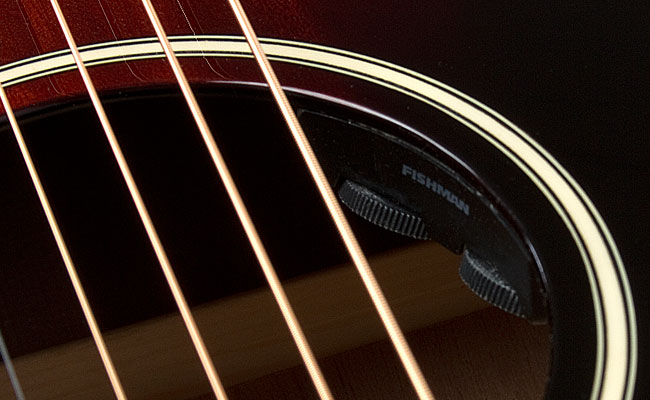 Epiphone Ltd. Ed. EL-00 PRO Mahogany and Ltd. Ed. EJ-160E