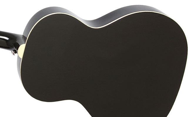 Epiphone Ltd. Ed. EL-00 PRO Mahogany and Ltd. Ed. EJ-160E