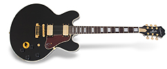 Epiphone casino coupe lh