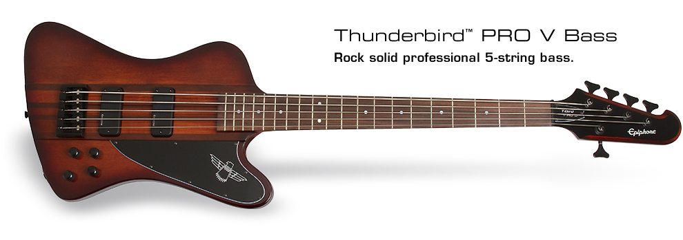 5 string thunderbird bass